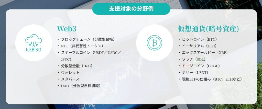 Web3/仮想通貨における支援対象の分野例